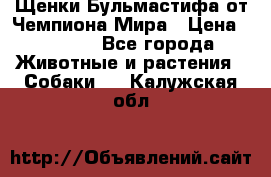 Щенки Бульмастифа от Чемпиона Мира › Цена ­ 1 000 - Все города Животные и растения » Собаки   . Калужская обл.